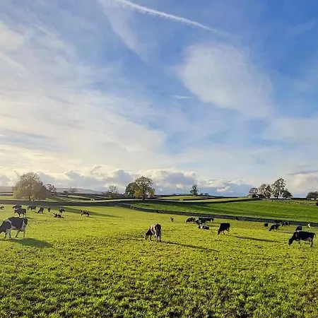 Meadow View بيت للعطل *